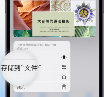 五家渠apple维修中心分享iPhone文件应用中存储和找到下载文件