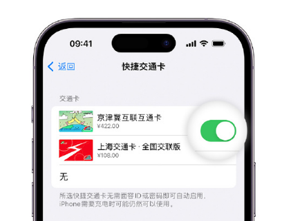 五家渠apple维修点分享iPhone上更换Apple Pay快捷交通卡手绘卡面 