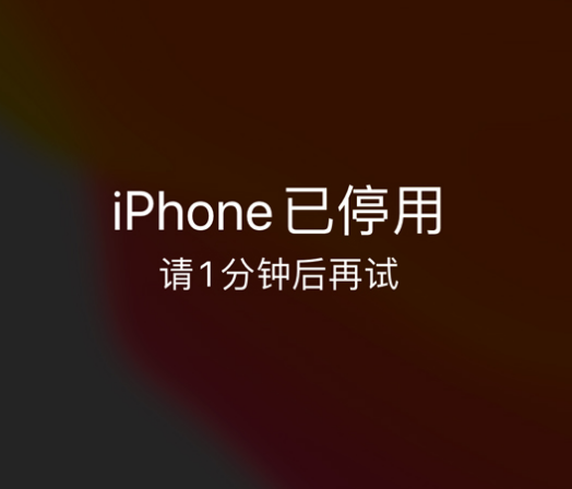 五家渠苹果手机维修分享:iPhone 显示“不可用”或“已停用”怎么办？还能保留数据吗？ 