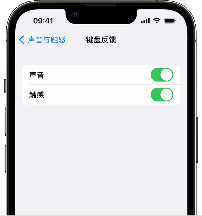 五家渠苹果14维修店分享如何在 iPhone 14 机型中使用触感键盘 