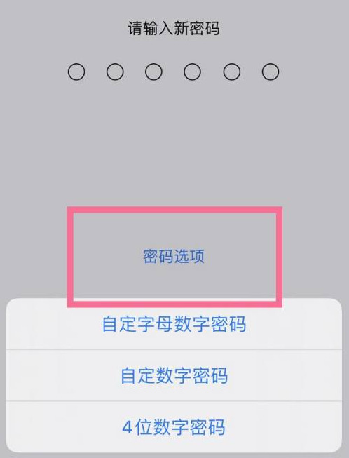 五家渠苹果14维修分享iPhone 14plus设置密码的方法 