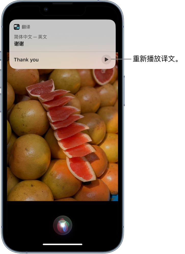 五家渠苹果14维修分享 iPhone 14 机型中使用 Siri：了解 Siri 能帮你做什么 