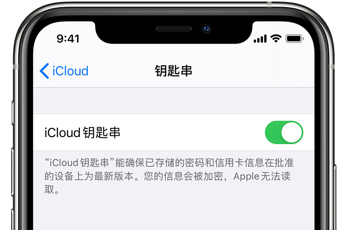 五家渠苹果手机维修分享在 iPhone 上开启 iCloud 钥匙串之后会储存哪些信息 