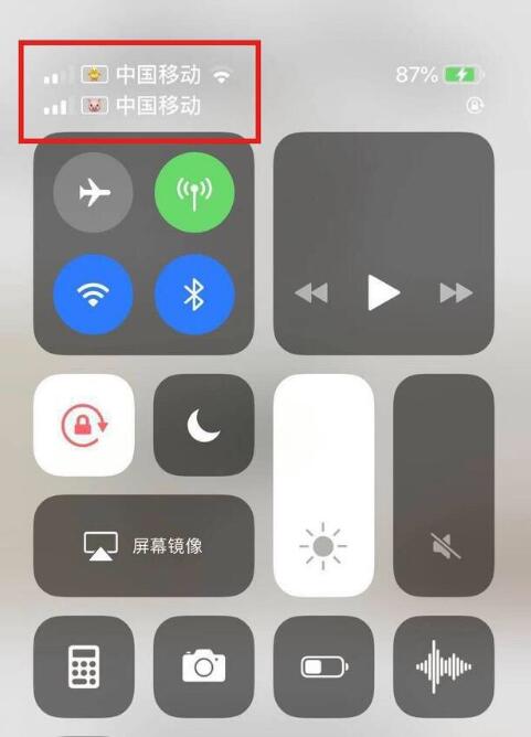 五家渠苹果手机维修分享为 iPhone 12 双卡设置标签 