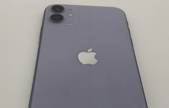 五家渠苹果11系统维修分享iPhone11手机系统崩溃无法开机如何解决